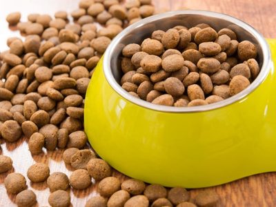 Con las bolsas de alimento de tu mascota que siempre tirás, armá este útil proyecto para la habitación de tus hijos