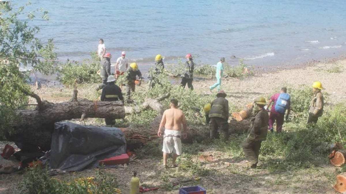 Sector del camping Lolén donde ocurrió la tragedia. Fuente: (Diario Andino)