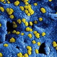 El 'nuevo coronavirus” de China