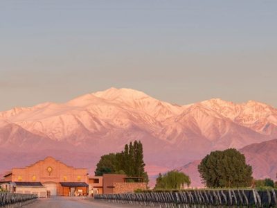 Vendimia en Mendoza: excelentes uvas y la más atípica de la historia