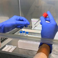 Coronavirus: la curva de contagios en Neuquén sigue en ascenso