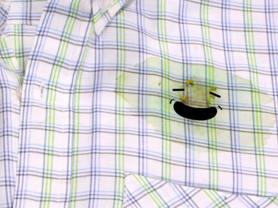 Con 1 ingrediente: el truco para quitar las manchas de mate de tus manteles o ropa en menos de 5 minutos