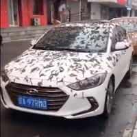 “Lluvia de gusanos” causa conmoción en China: esto es lo que se sabe (Video)