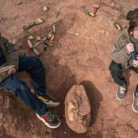 Niño descubre un cráneo de 700 mil años de antigüedad mientras paseaba por la playa