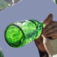 Dale un toque sofisticado a tu hogar con esta idea increíble y con esa botella de vidrio que estabas por tirar