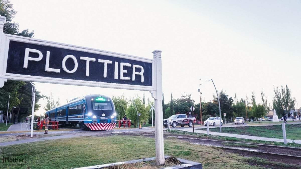 El siniestro vial ocurrió en abril de 2024 en Plottier. Fuente (X)