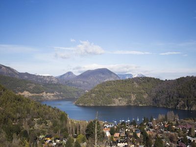 Plantaron más de 140 árboles nativos San Martín de los Andes