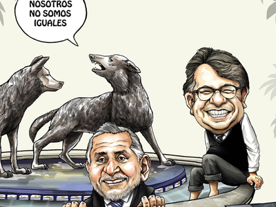 Coyotes