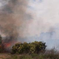 Entre ayer y hoy, se registraron tres grandes incendios de pastizales en Senillosa