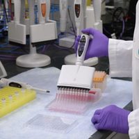 Reportan que farmacéuticas han ganado 270 mil mdd por la pandemia de covid-19