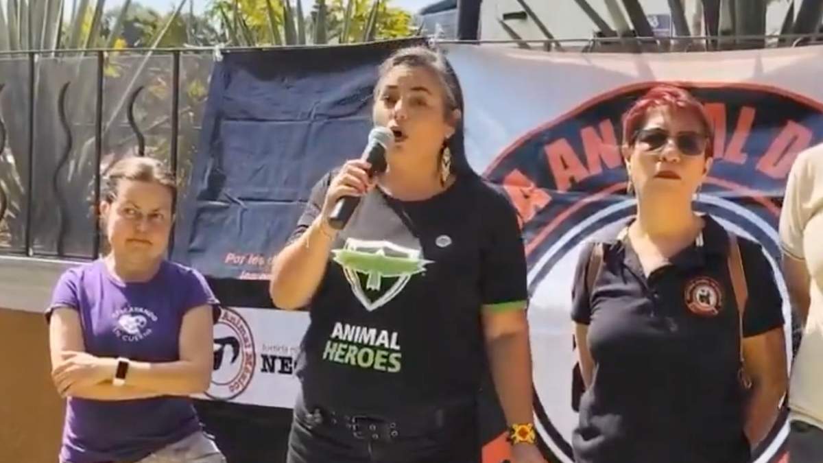 Integrantes de la Coalición por la Defensa de Animal Morelos y Carmen, tutora de "Miel"