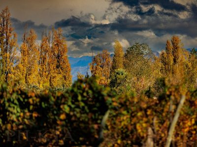 Mejora el tiempo en Mendoza y sube la temperatura