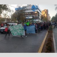 Cannabicultores de Neuquén reclamaron por una reforma en la Ley de Drogas