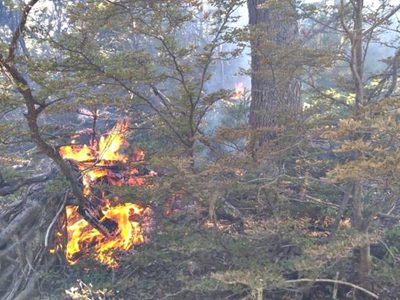 Susto cerca de Villa Pehuenia: controlan un incendio en un cerro