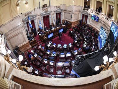 El Senado convirtió en ley el proyecto de Impuesto a las Ganancias para empresas
