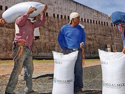 Abacomex, de modesto transportista a exitoso proveedor de Segalmex