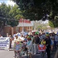 Gobierno de Puebla debe frenar tala de árboles por proyecto de Cablebús