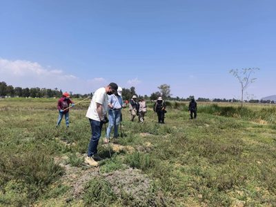 Localizan 219 restos óseos de humanos en los límites de la CDMX y Edomex