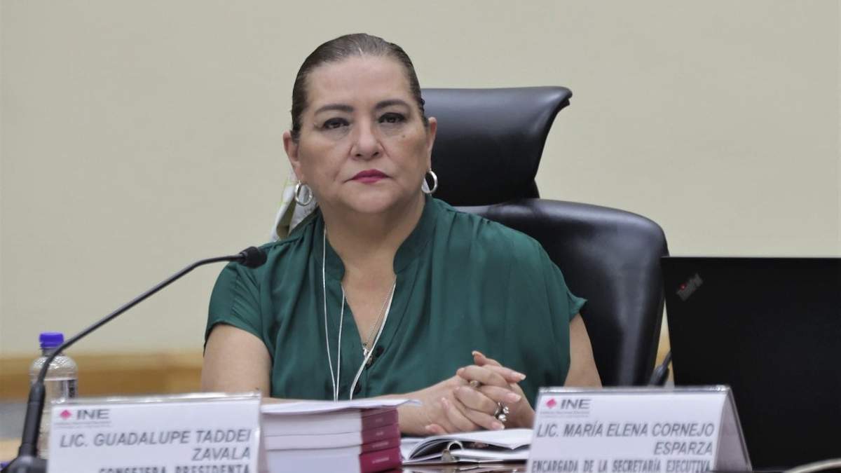 Guadalupe Taddei. Nombramientos
