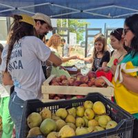 Frutazo: la UNCo celebra la gratuidad universitaria con manzanas y peras a $1000
