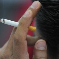 Piden a Sheinbaum aplicar “impuestos saludables” al alcohol, tabaco y bebidas azucaradas