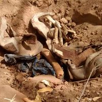 Hallan Las Rastreadoras dos osamentas en la sindicatura de San Blas