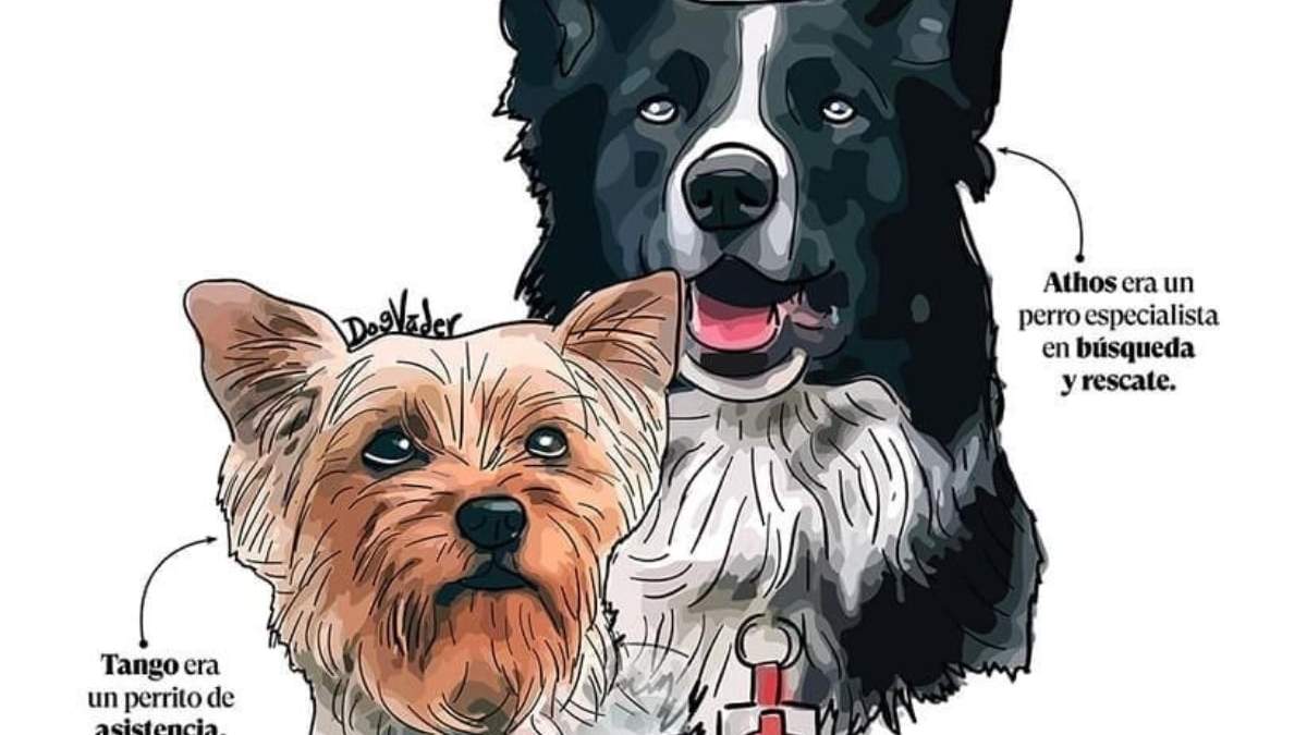 Athos y Tango, los perros rescatistas en entrenamiento que fueron envenenados en 2021