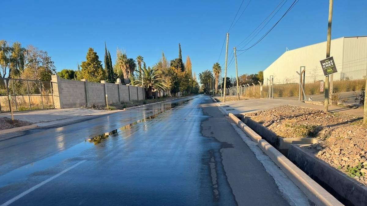 La pérdida de cada día.