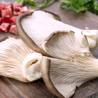 Recetas y ciencia: secretos para cocinar con hongos