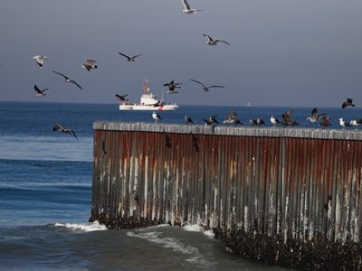 La ola de calor también está matando cientos de aves en México