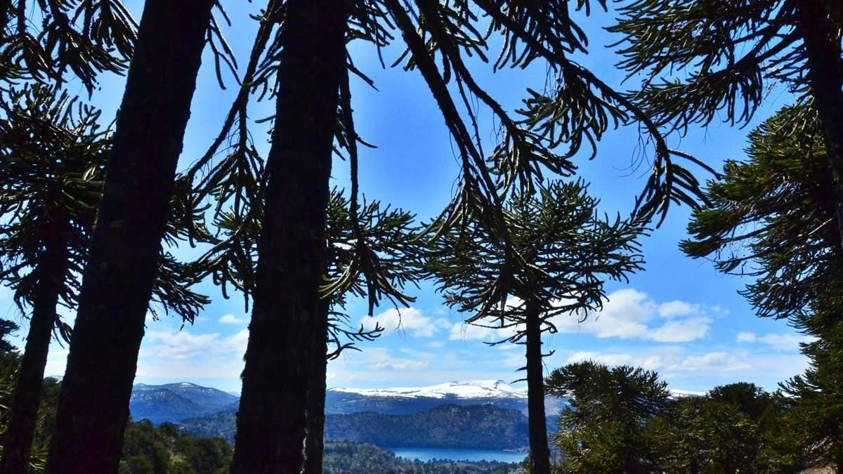 Buen clima en Neuquén. Fuente: (Instagram)