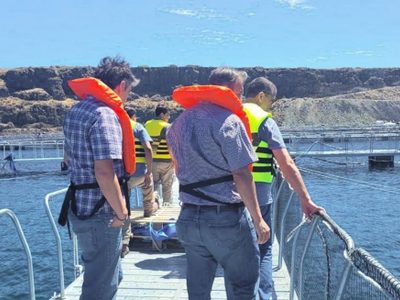 Organismo internacional ratificó al embalse de Piedra del Águila libre de enfermedades en salmónidos