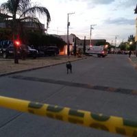 Violencia en viernes santo deja 14 muertos en León y Salamanca