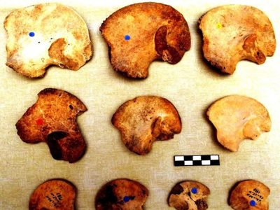 Mayas sacrificaban a niños y gemelos en Chichén Itzá, revela investigación de ADN