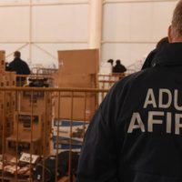 La Aduana incautó una encomienda por estupefacientes escondidos en un tablero de ajedrez