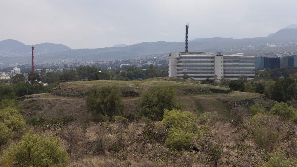 Nuevo vivero en la Zona Arqueológica de Cuicuilco