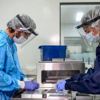 Coronavirus: estas son las provincias que más casos sumaron este martes