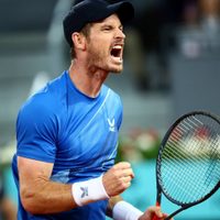 En comparación con el Big 3: las ganancias de Andy Murray en el tenis