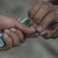 El Senado aprobará antes de diciembre la ley que despenaliza la producción, uso y consumo de mariguana