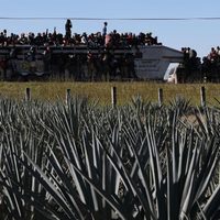 Más de seis mil migrantes salen de Guadalajara rumbo a Nayarit