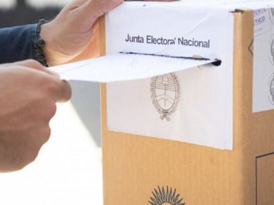 Diputados nacionales de Neuquén proponen boleta única de papel para las elecciones y eliminar las PASO