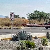 Morelos: ataque en Tepalcingo deja cinco personas muertas, entre ellas dos mujeres y una menor