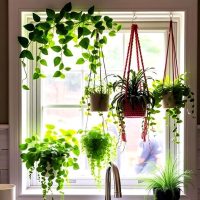 Este DIY con cuero y tapas recicladas es tan fácil que vas a querer llenar tus ventanas de maceteros