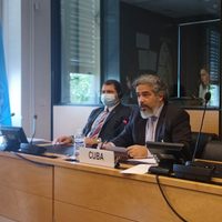 Desde la ONU, Cuba afirma que en la isla no hay presos políticos