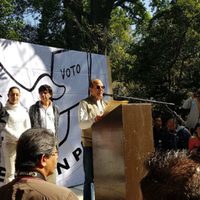Intelectuales rechazan violencia en proceso electoral y condenan agresiones contra Morena en Coyoacán