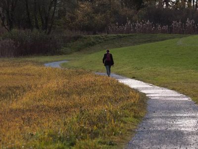 Comprueban definitivamente por qué una hora de caminata en la naturaleza hace bien al cerebro