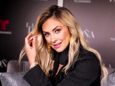 Un guiño inesperado: Luis Miguel recibió un mensaje de Aracely Arámbula