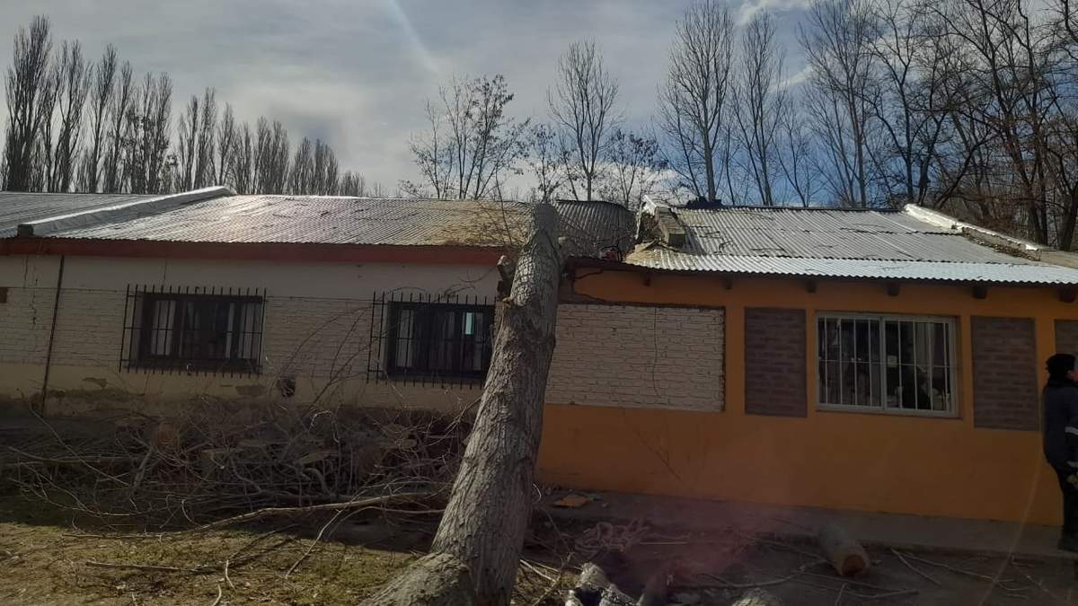 La Escuela 77 del Alamito tras la caída del árbol. Fuente: (Aten)