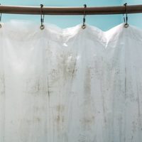 Decile chau al moho: limpiá tus cortinas del baño de forma fácil, rápida y sin productos caros