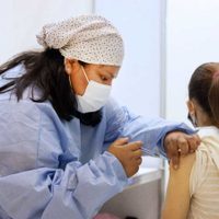 La administración de la vacuna en Argentina: las cifras no se movieron debido al Censo